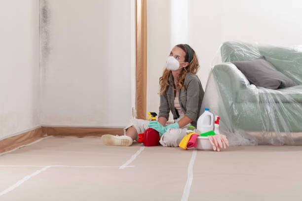 Reliable Basement Mold Remediation contractor in Crocheron, MD by WQB Mold Removal